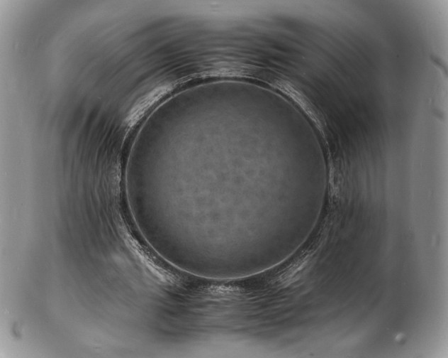 X0000103250437200808281507