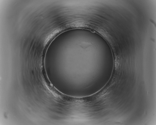 X0000103250438200808281507