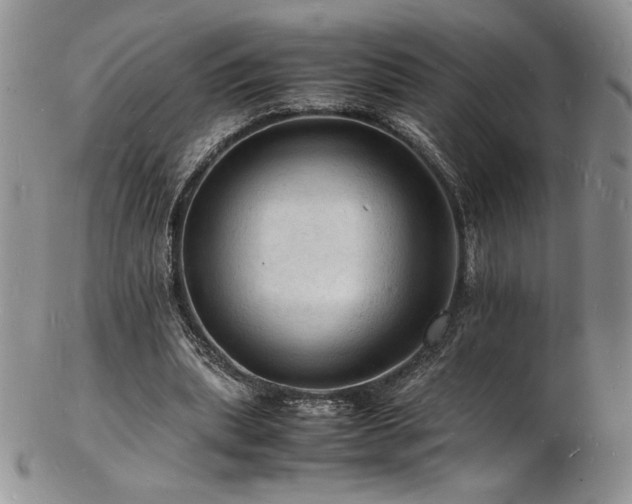 X0000103250439200808281507