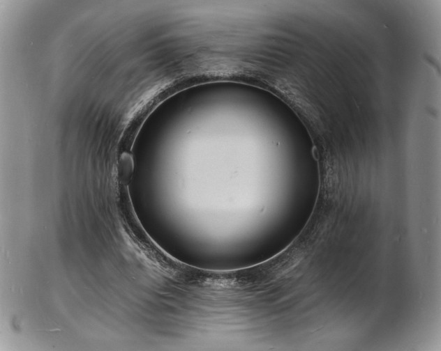 X0000103250440200808281507