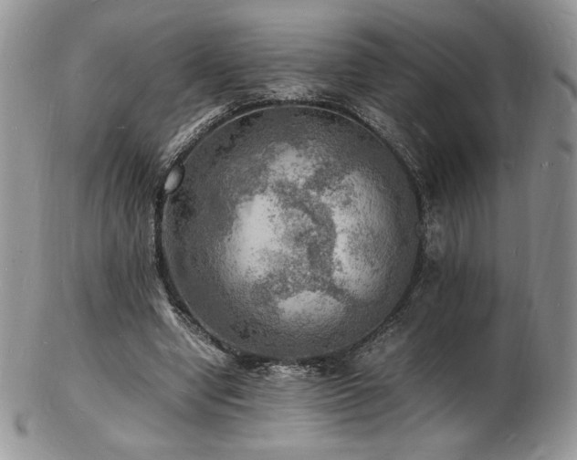 X0000103250442200808281507