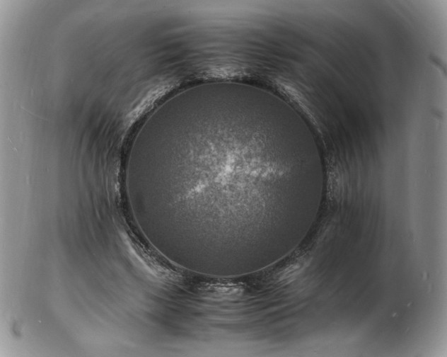 X0000103250443200808281507