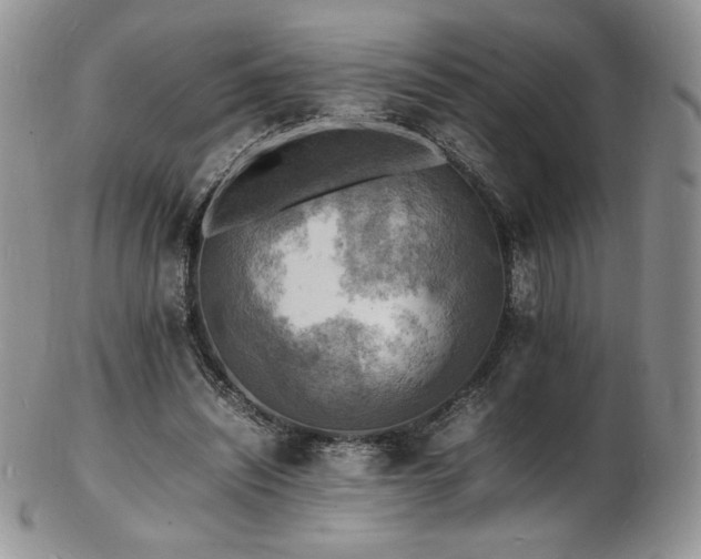 X0000103250444200808281507