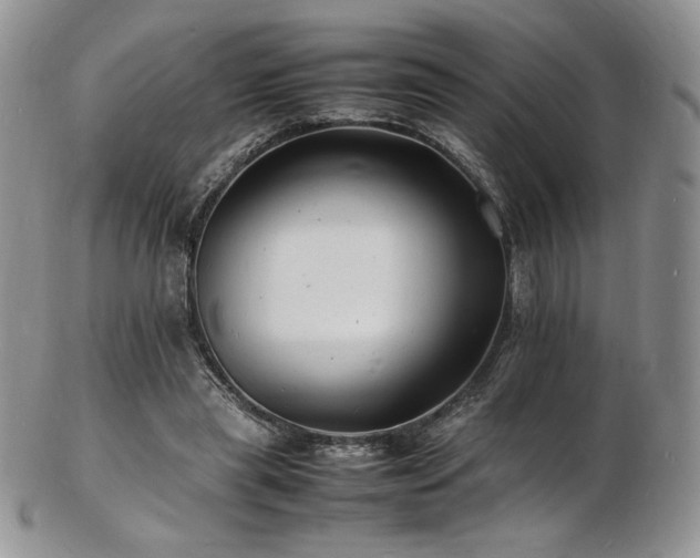 X0000103250445200808281507