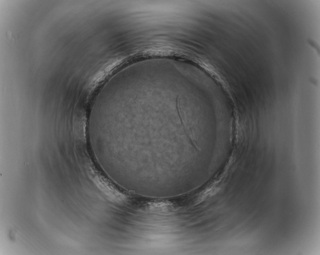 X0000103250446200808281507