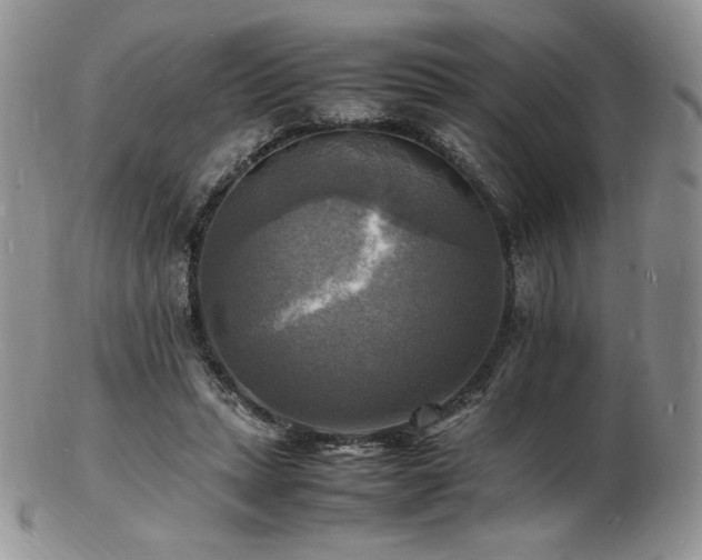 X0000103250447200808281507