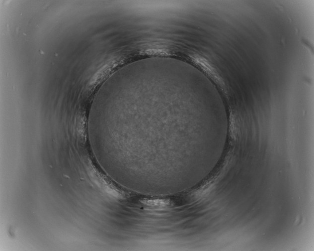 X0000103250449200808281507