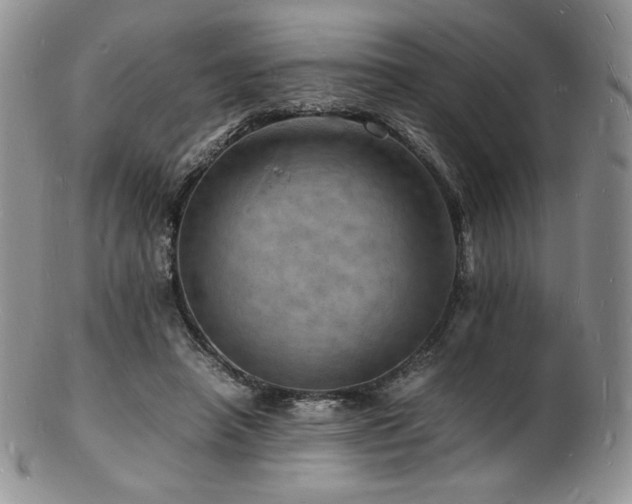 X0000103250450200808281507