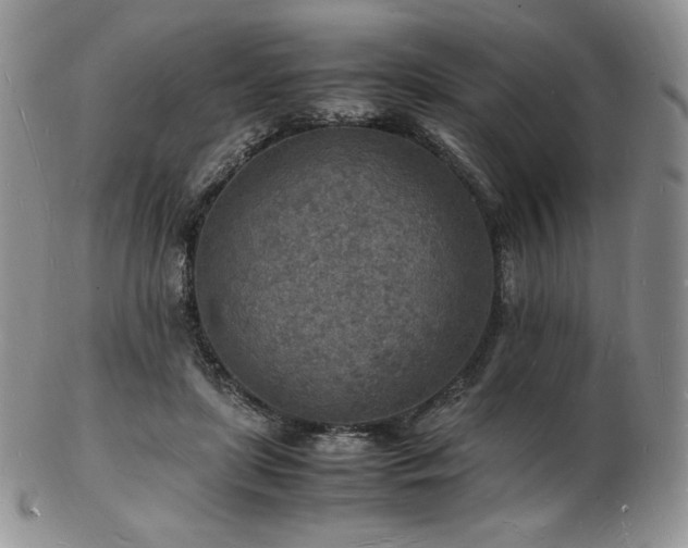 X0000103250451200808281507
