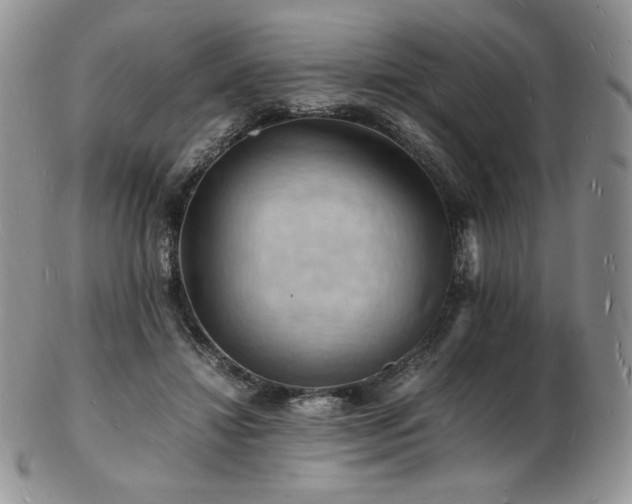 X0000103250452200808281507