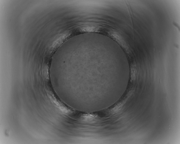 X0000103250453200808281507