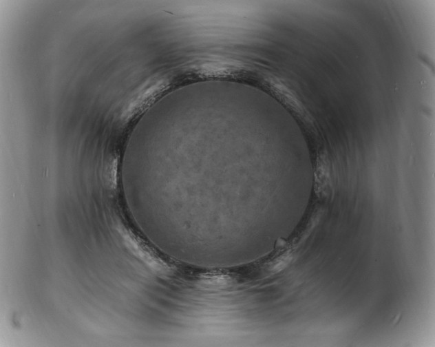 X0000103250454200808281507