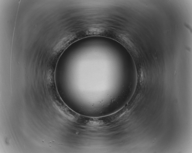 X0000103250455200808281507