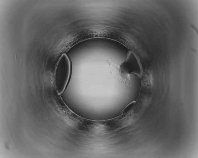 X0000103250456200808281507