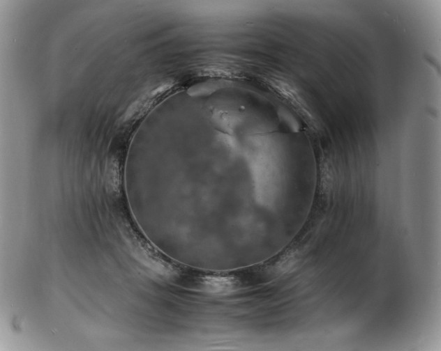 X0000103250457200808281507