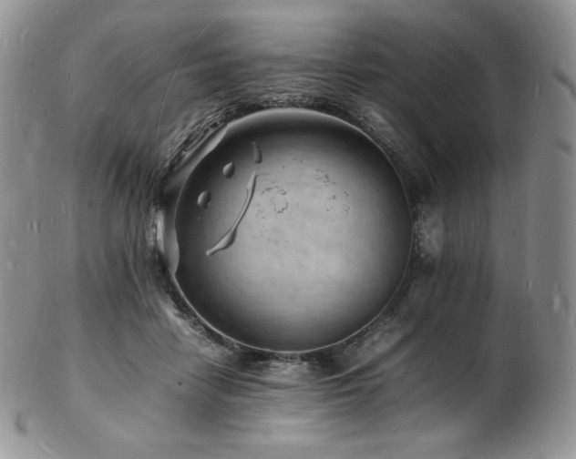 X0000103250458200808281507