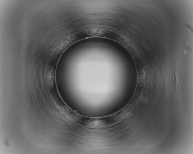 X0000103250460200808281507