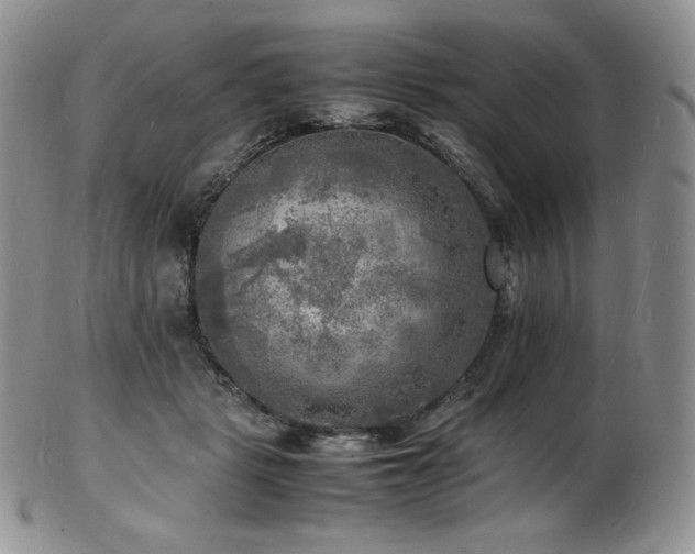 X0000103250461200808281507