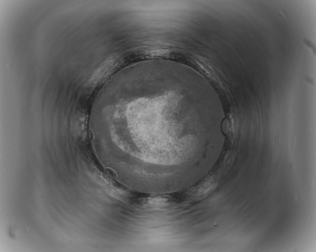 X0000103250462200808281507