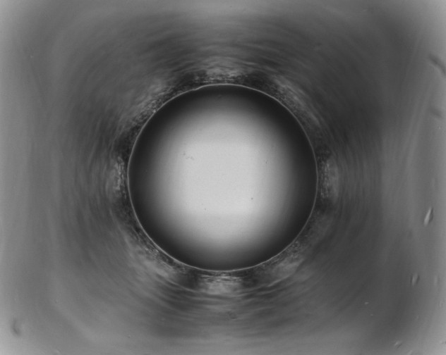 X0000103250463200808281507