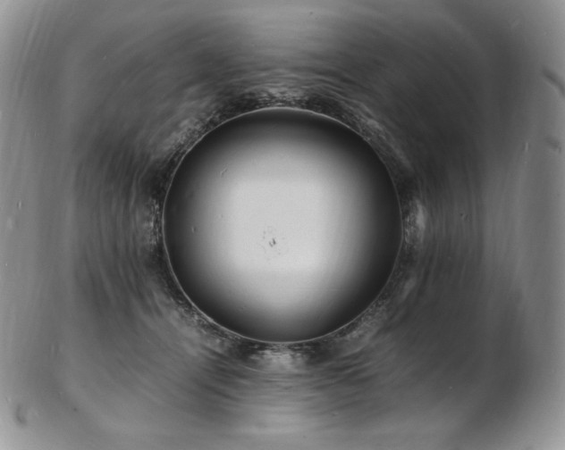 X0000103250464200808281507