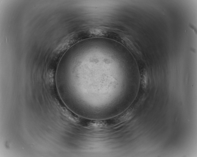 X0000103250466200808281507
