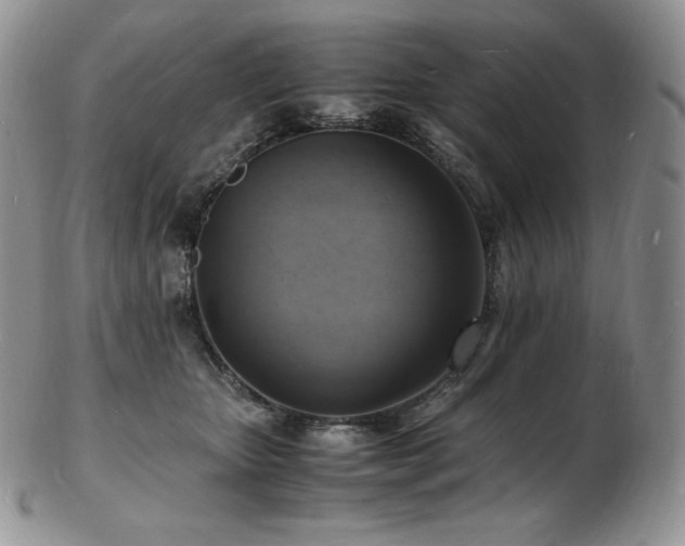 X0000103250467200808281507