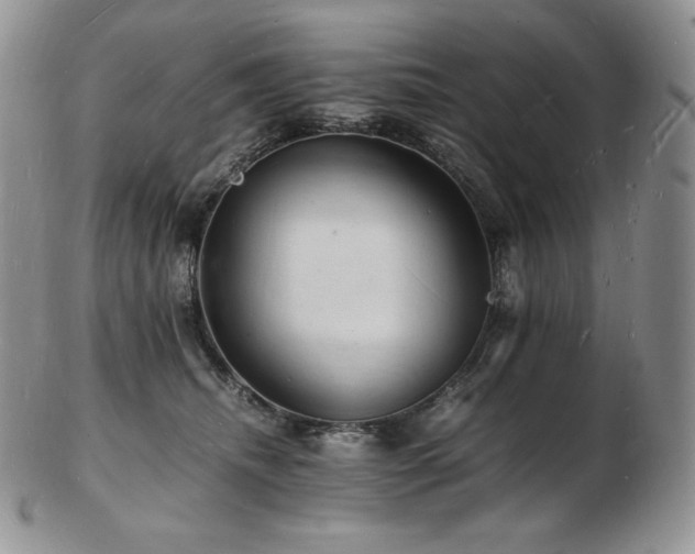 X0000103250468200808281507