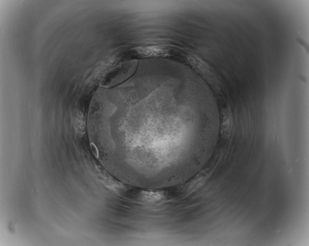 X0000103250469200808281507