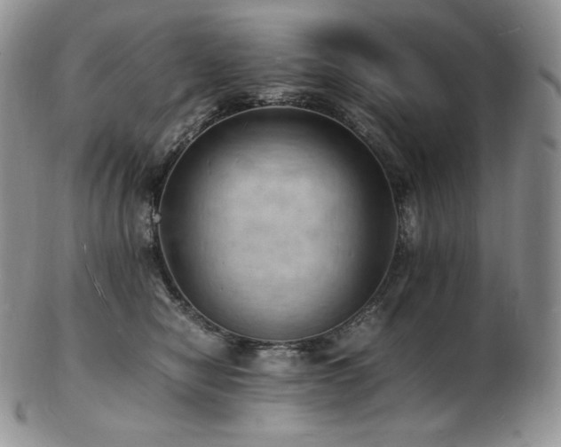 X0000103250470200808281507