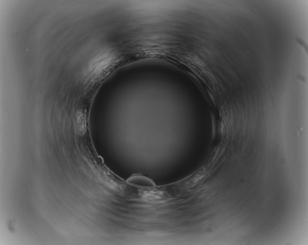 X0000103250471200808281507
