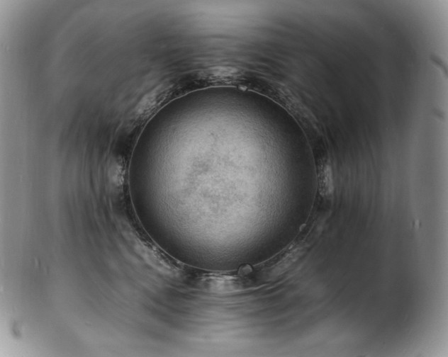 X0000103250472200808281507