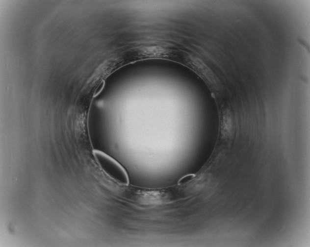 X0000103250473200808281507