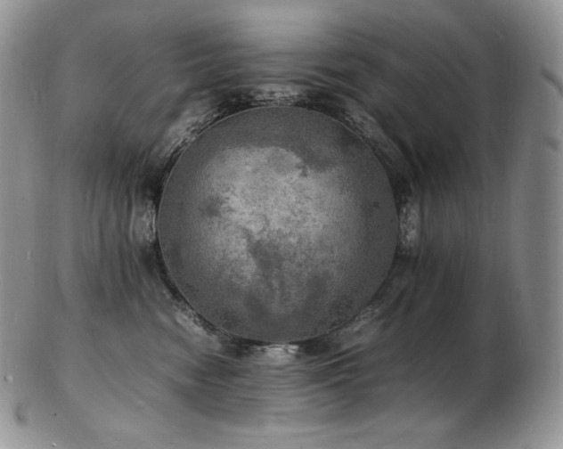 X0000103250474200808281507