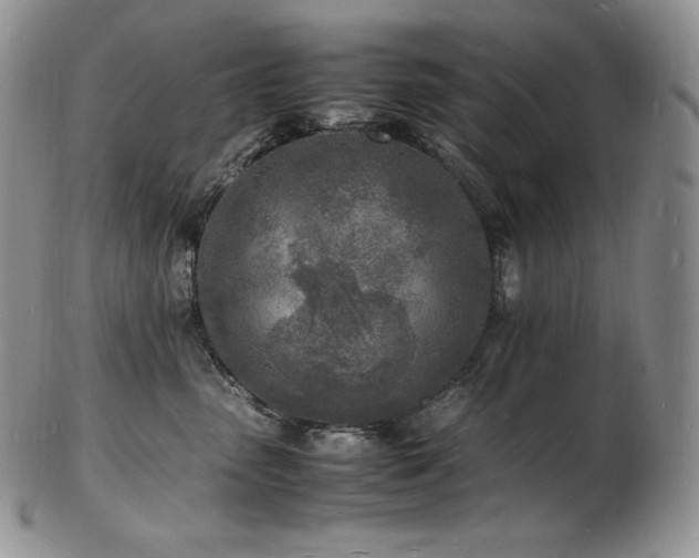 X0000103250475200808281507