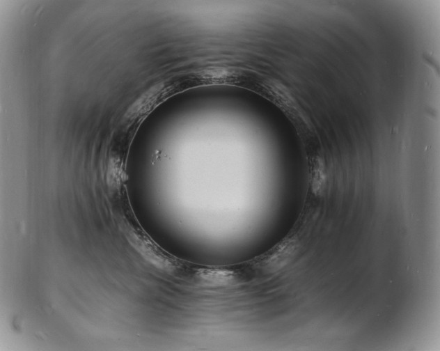 X0000103250476200808281507