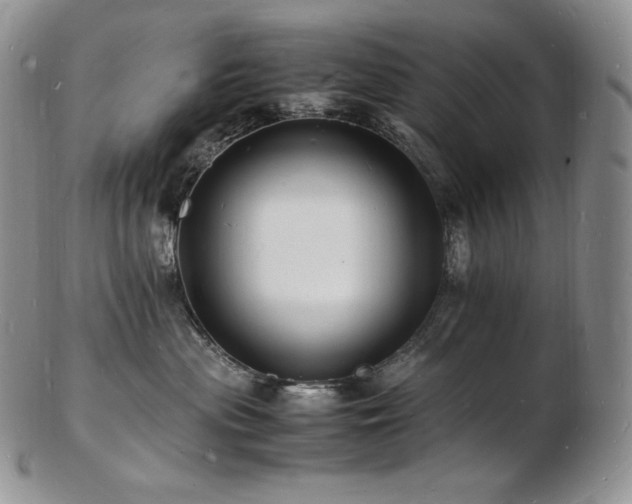 X0000103250477200808281508