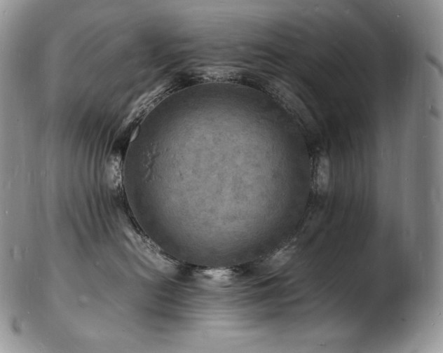 X0000103250478200808281508