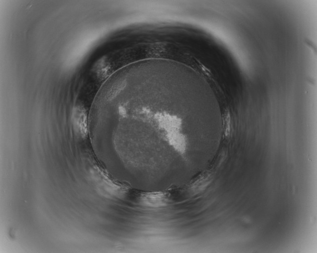 X0000103250479200808281508