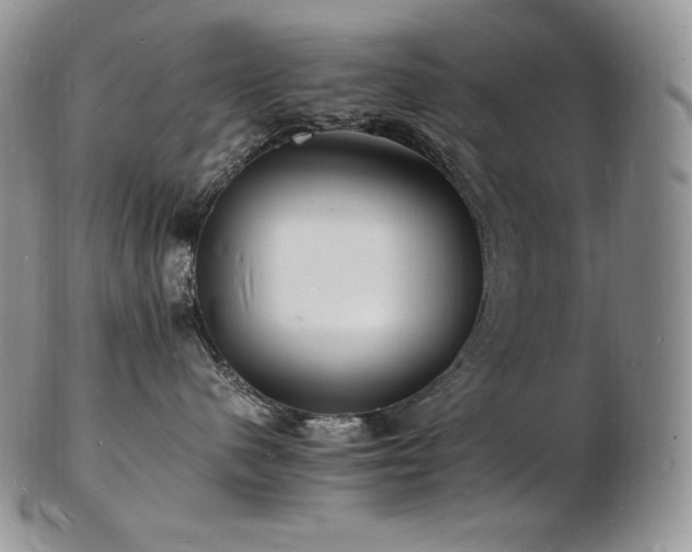X0000103250480200808281508