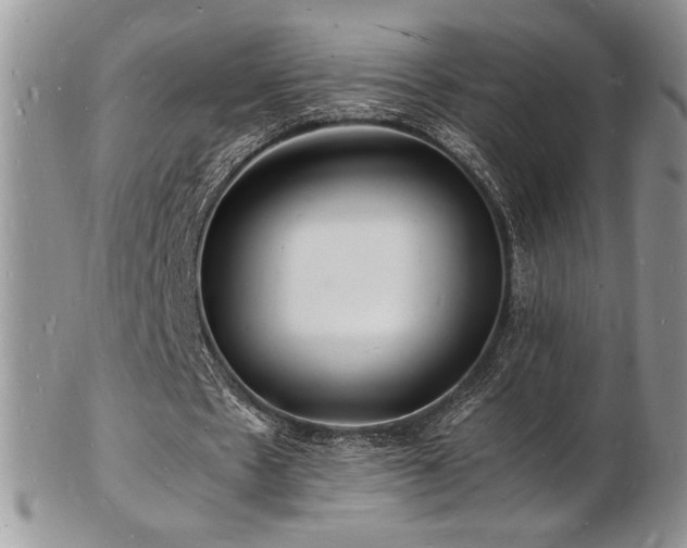 X0000103250481200808281507