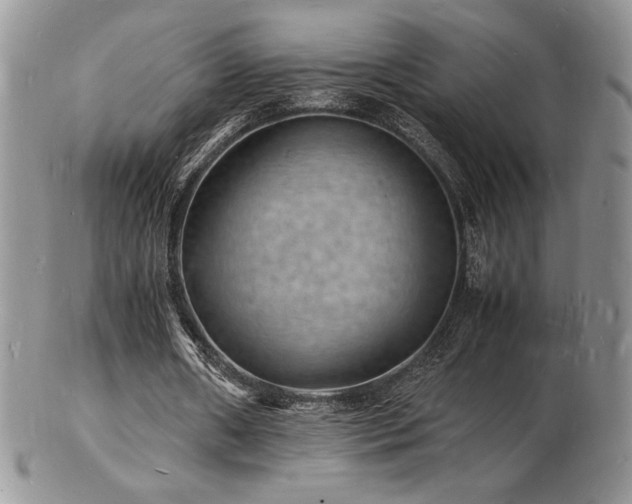 X0000103250482200808281507