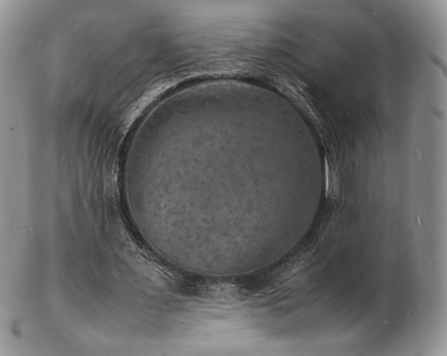 X0000103250483200808281507