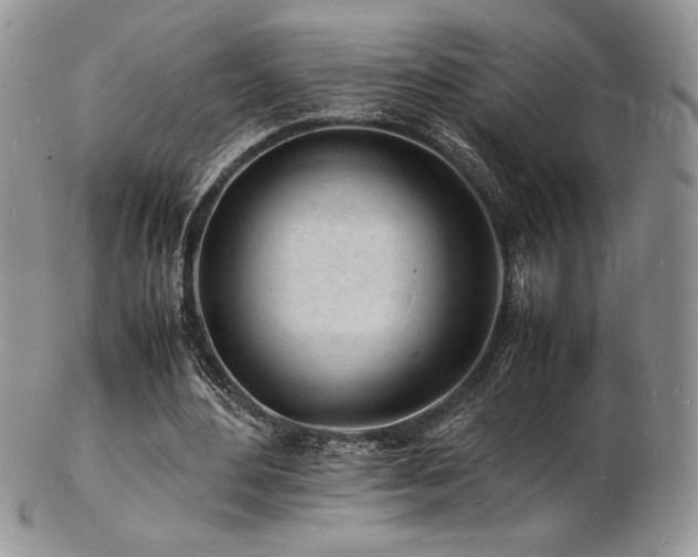X0000103250484200808281507