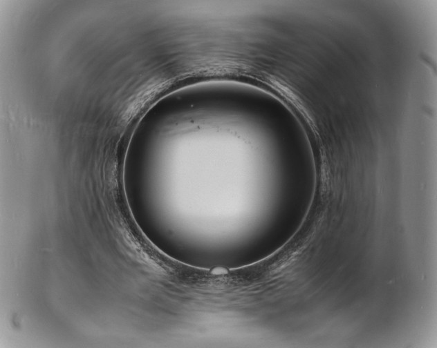 X0000103250485200808281507