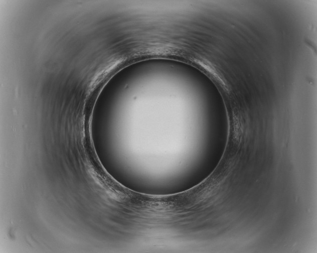 X0000103250486200808281507