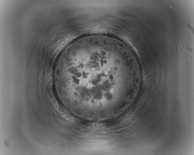 X0000103250487200808281507