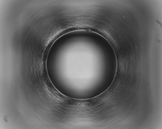 X0000103250488200808281507