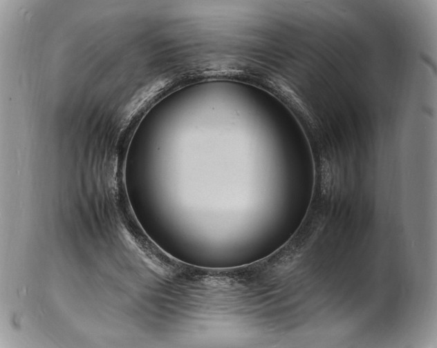 X0000103250490200808281507