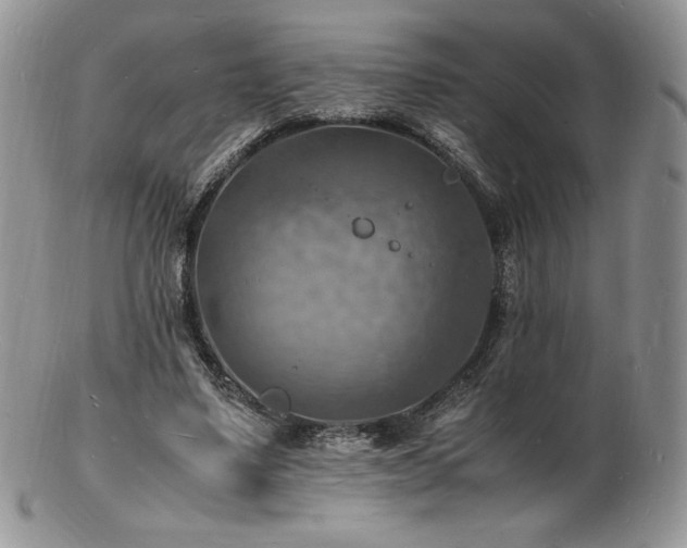 X0000103250491200808281507